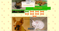 Desktop Screenshot of getmorepets.com